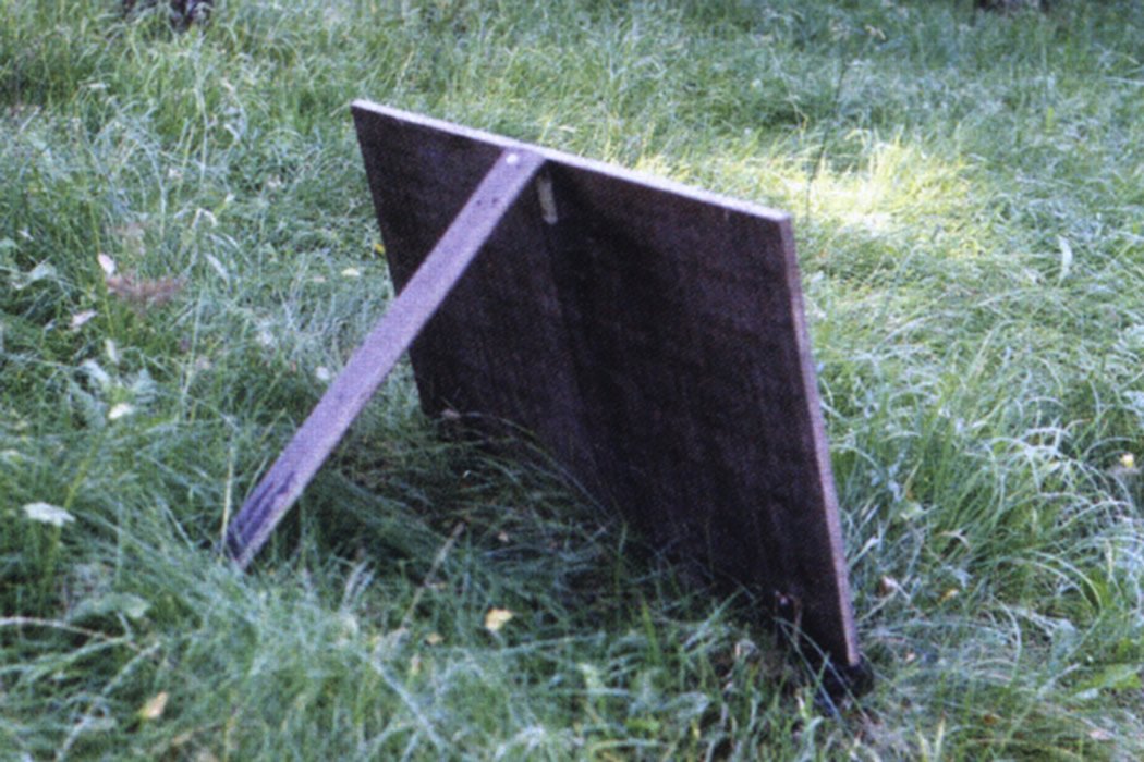 galeriebild
